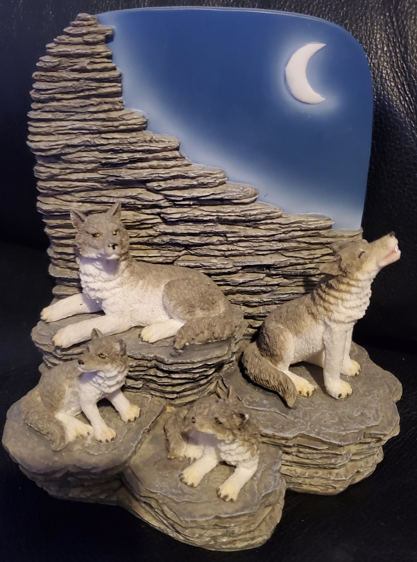 Wolf Family on Rocks with Moon