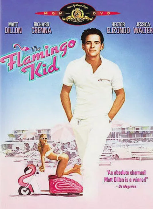 DVD - Flamingo Kid