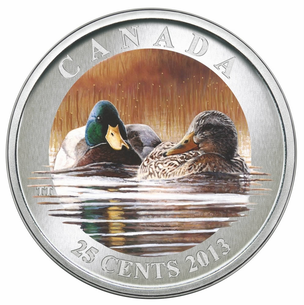 2013 Canada 25 Cent Coloured Coin - Mallard Coin Cased